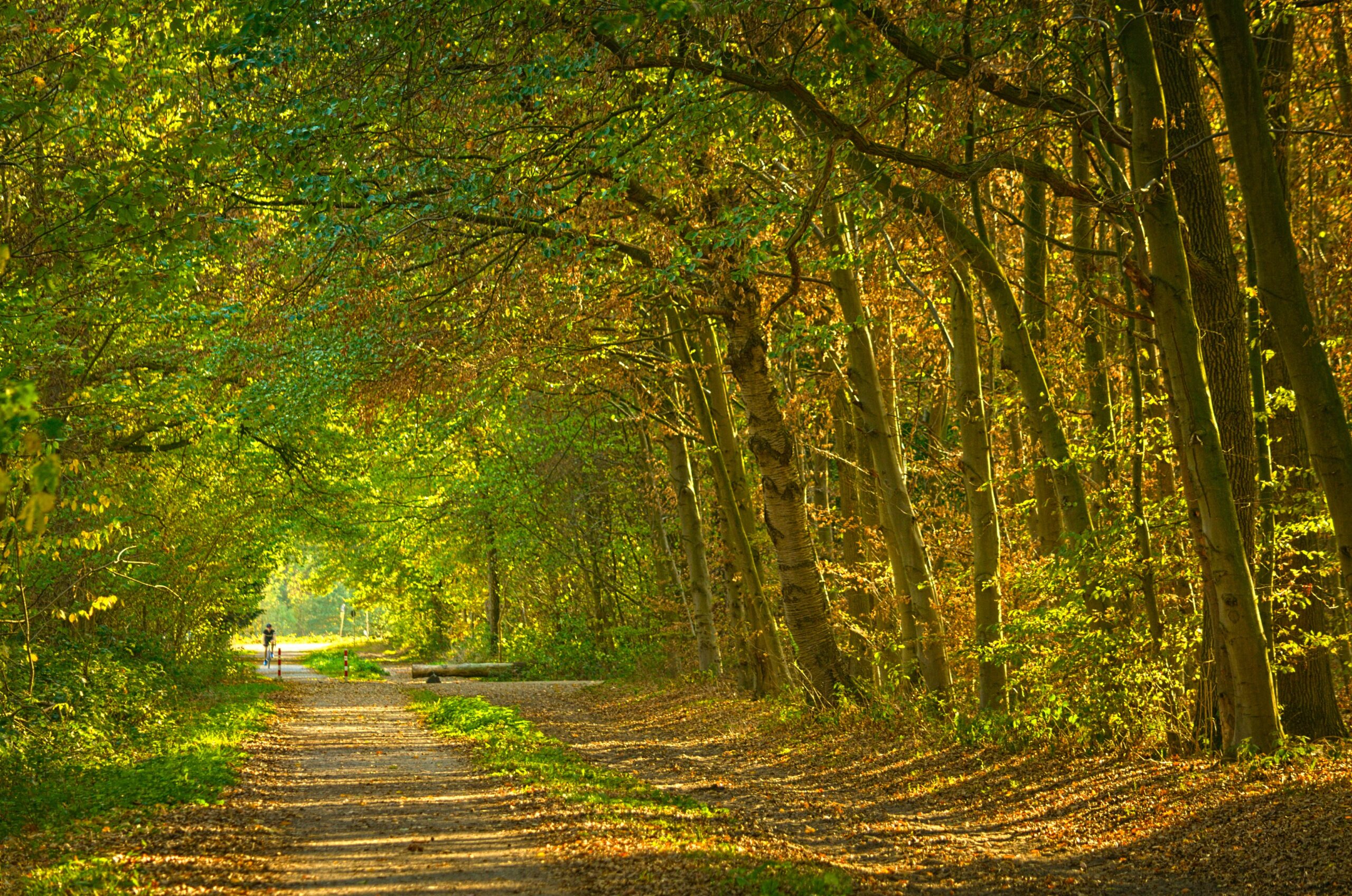 I didn’t need another diet – I needed a gentler way